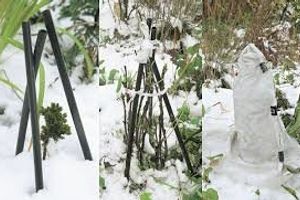 Укрытие растений на зиму: основные ошибки и полезные советы всем дачникам