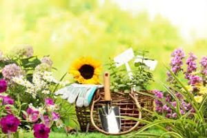Догляд за садом: необхідні роботи кожного сезону