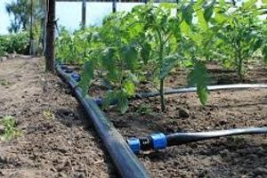 Установка капельного орошения: 5 важных нюансов