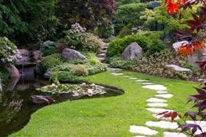 Правила доглянутого саду: прості поради для планування ділянки